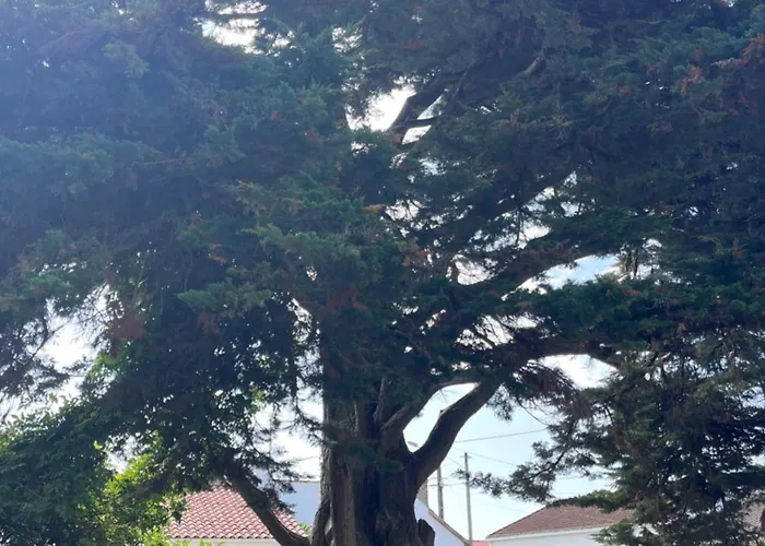 Hébergement de vacances Rénové *